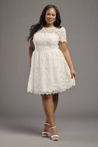 View DB Studio Short Sleeve Lace Mini with Illusion Neckline in all available color and sizes Picture of Short Sleeve Lace Mini with Illusion Neckline